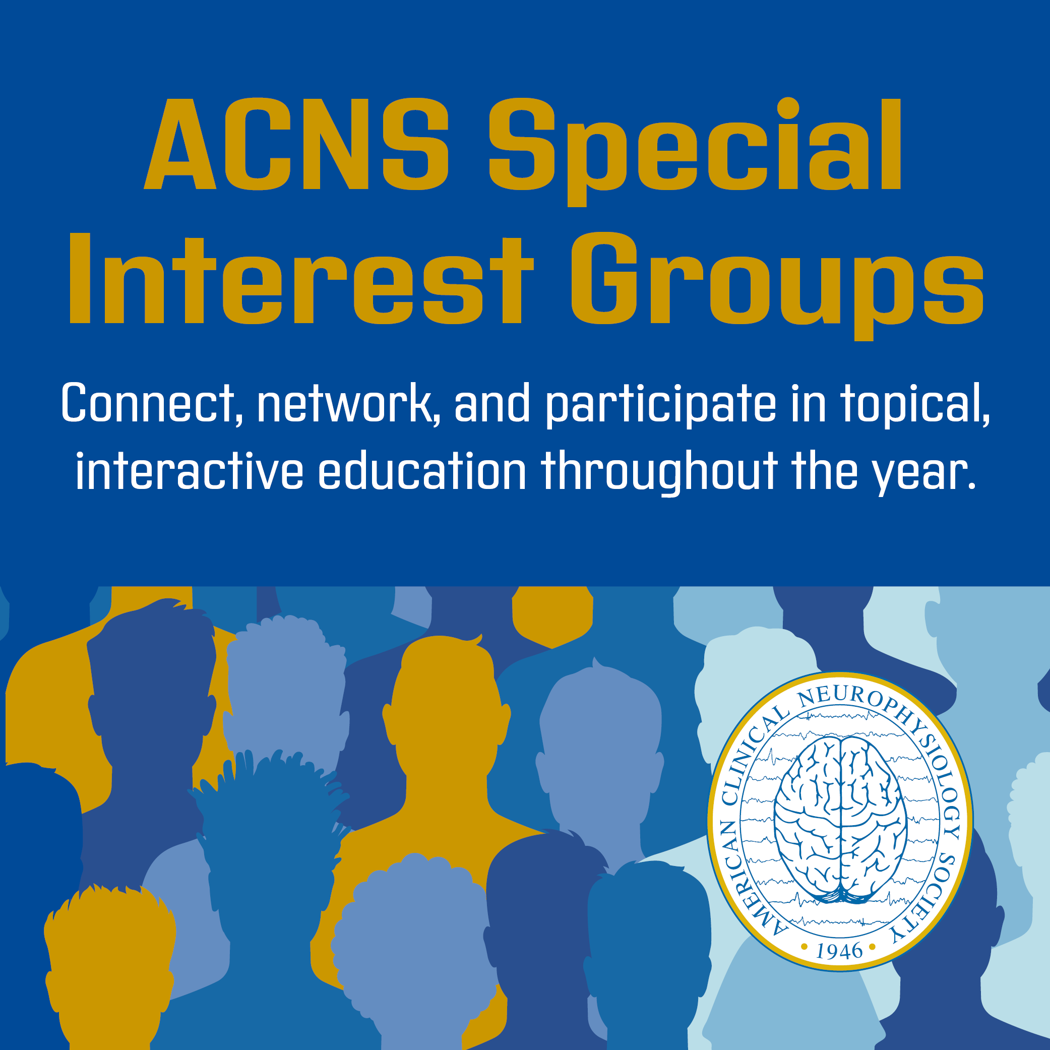 ACNS Special Interest Groups (SIGs)